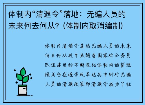 体制内“清退令”落地：无编人员的未来何去何从？(体制内取消编制)