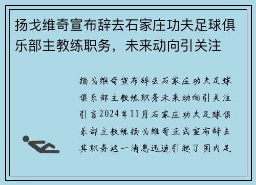 扬戈维奇宣布辞去石家庄功夫足球俱乐部主教练职务，未来动向引关注