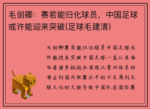 毛剑卿：赛若能归化球员，中国足球或许能迎来突破(足球毛建清)