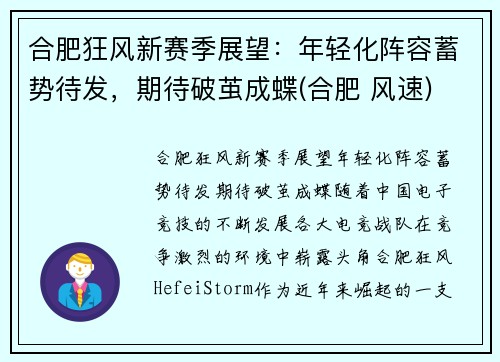 合肥狂风新赛季展望：年轻化阵容蓄势待发，期待破茧成蝶(合肥 风速)